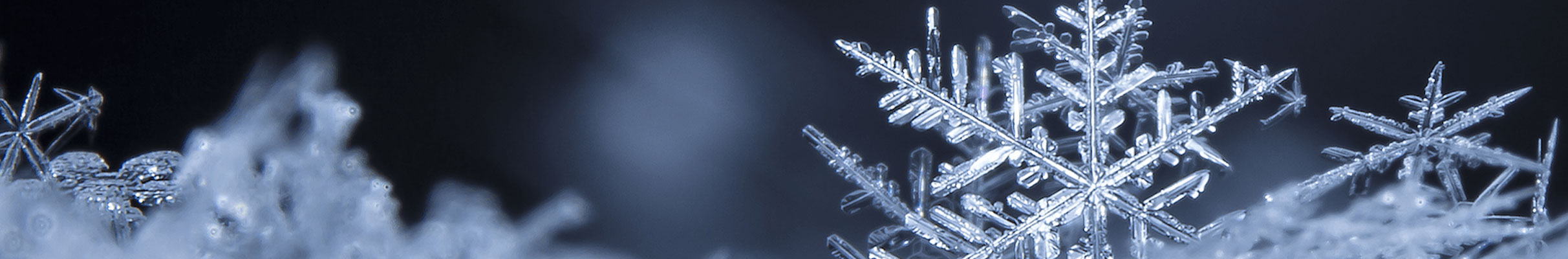 flocon de neige_regrigerant_market